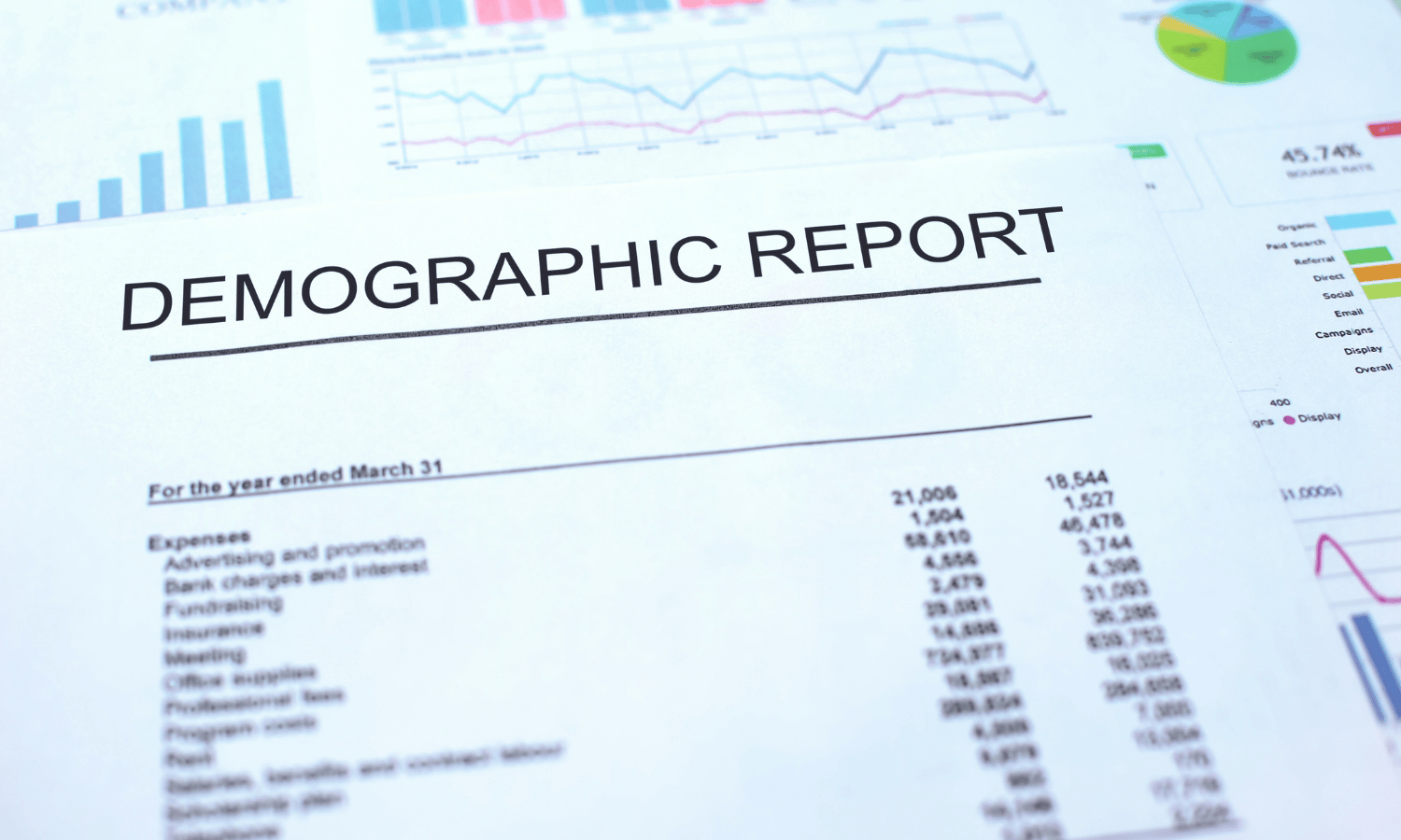 demographics